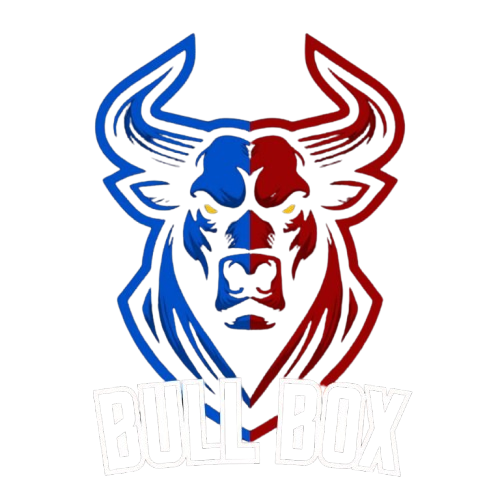 Logo Bull Box